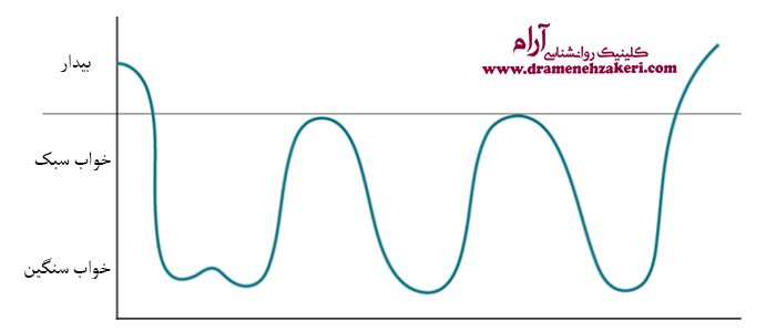شماتیک ساده شده چرخه خواب