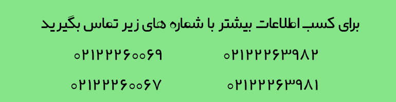 نقشه مغزی چست؟